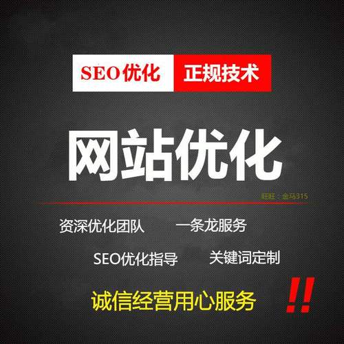 SEO优化的全面指南 提升网站排名，让你的业务遍布整个网络
